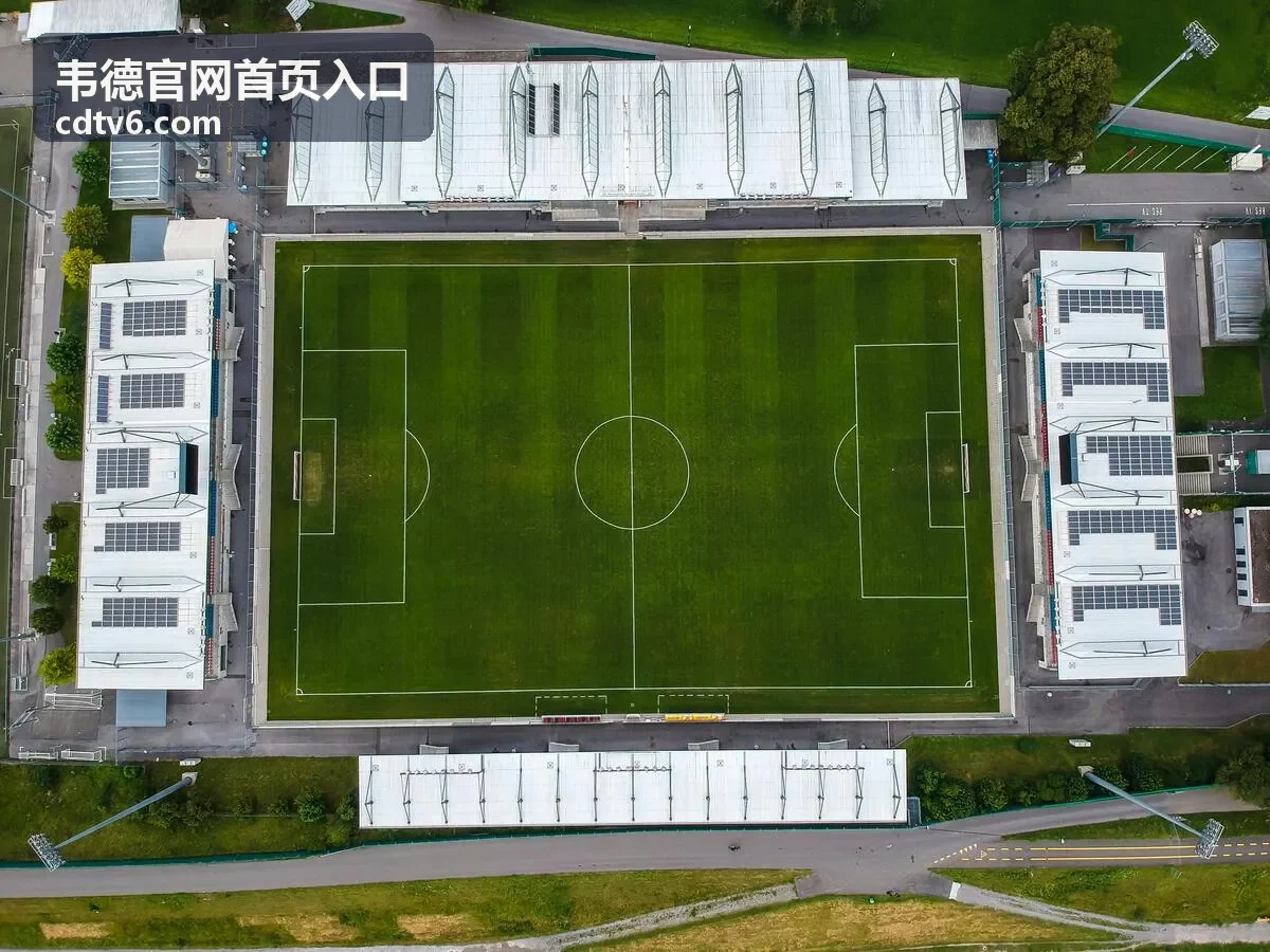 韦德官网首页入口平台服务总览背景示意图